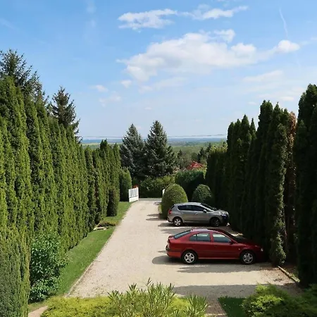 Apartment In Zentrumsnaehe Mit Panorama